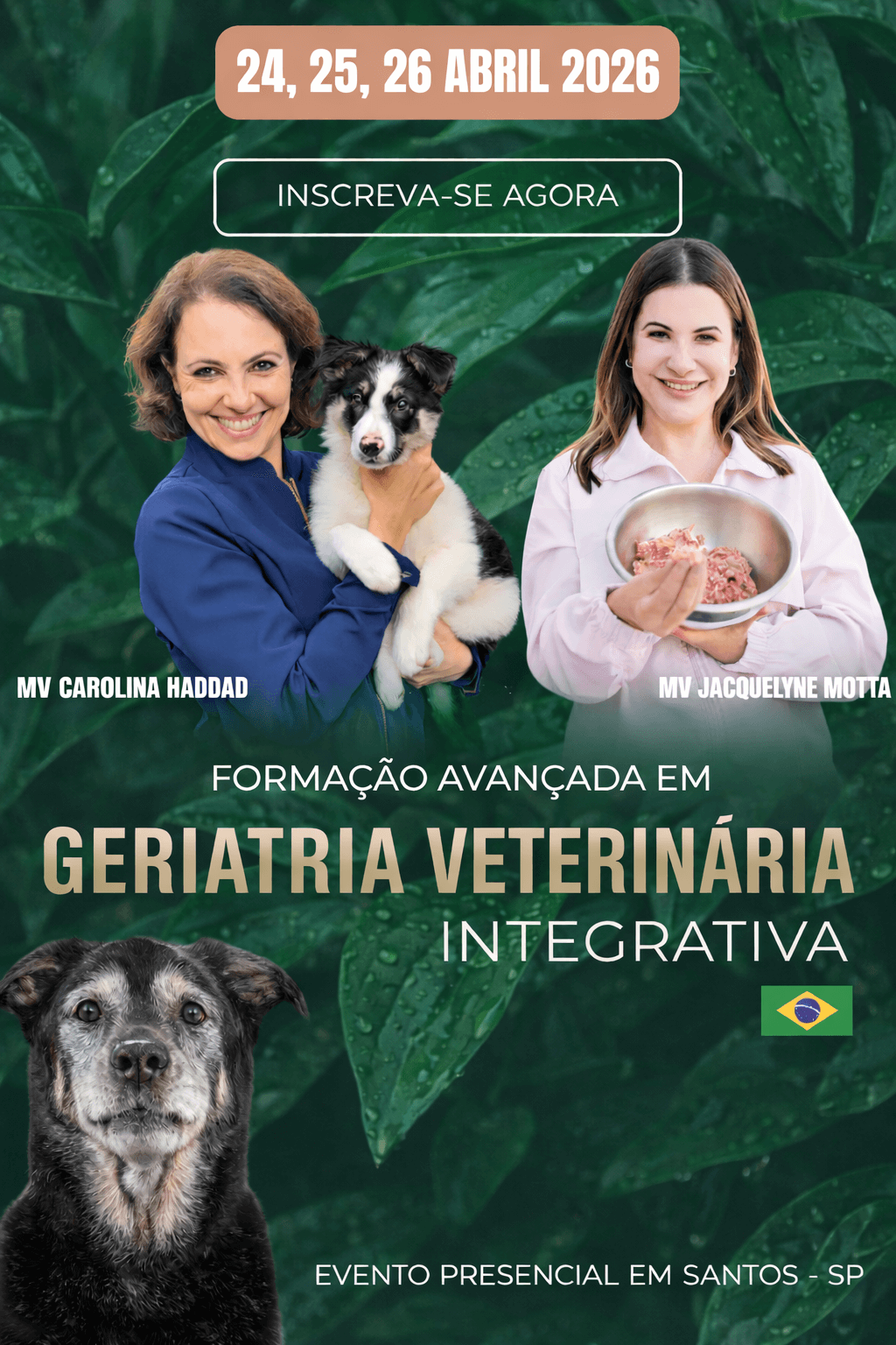 Formação em Geriatria Veterinária Integrativa - Dra Jack Motta